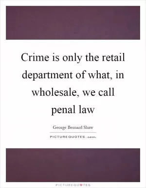 Crime is only the retail department of what, in wholesale, we call penal law Picture Quote #1