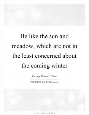 Be like the sun and meadow, which are not in the least concerned about the coming winter Picture Quote #1