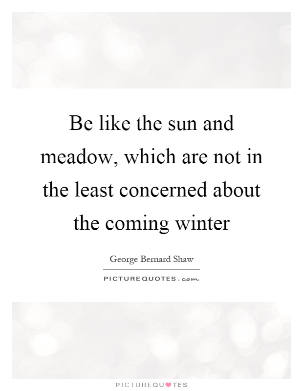 Be like the sun and meadow, which are not in the least concerned about the coming winter Picture Quote #1
