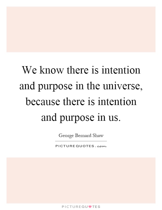 We know there is intention and purpose in the universe, because there is intention and purpose in us Picture Quote #1