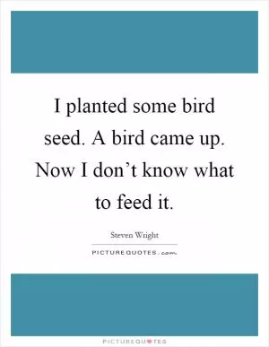 I planted some bird seed. A bird came up. Now I don’t know what to feed it Picture Quote #1