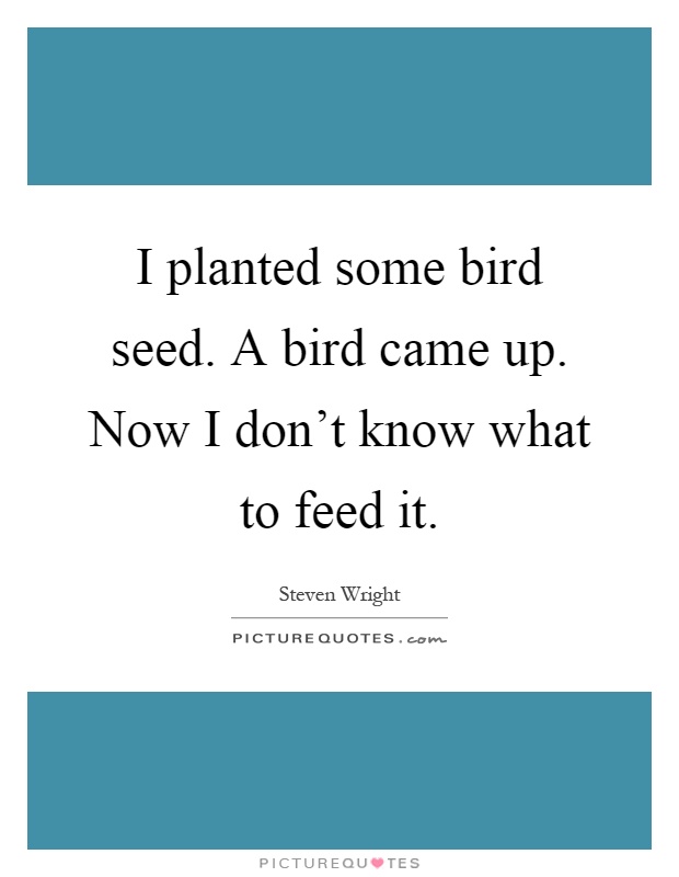 I planted some bird seed. A bird came up. Now I don't know what to feed it Picture Quote #1