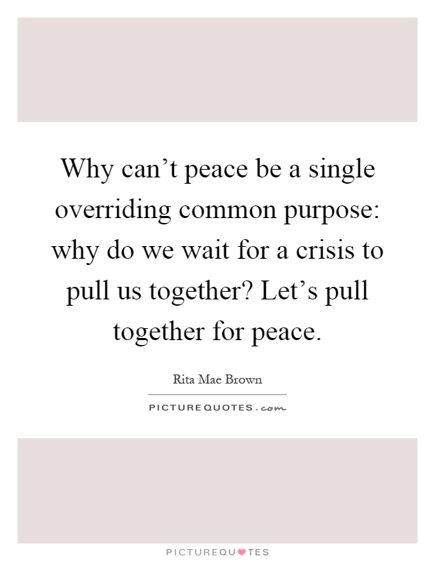 Why can't peace be a single overriding common purpose: why do we wait for a crisis to pull us together? Let's pull together for peace Picture Quote #1