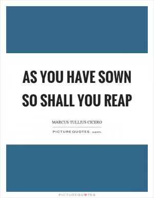 As you have sown so shall you reap Picture Quote #1