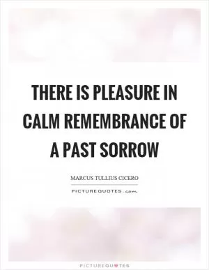 There is pleasure in calm remembrance of a past sorrow Picture Quote #1