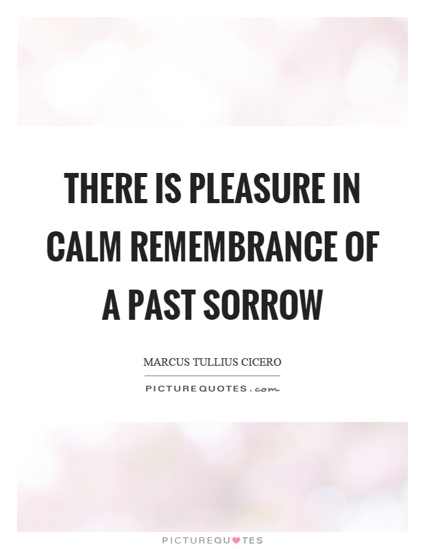 There is pleasure in calm remembrance of a past sorrow Picture Quote #1