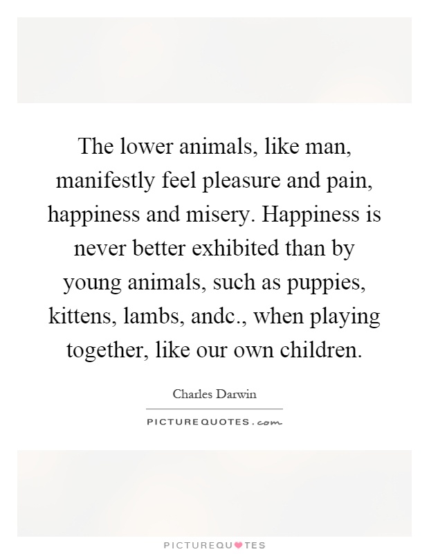 The lower animals, like man, manifestly feel pleasure and pain, happiness and misery. Happiness is never better exhibited than by young animals, such as puppies, kittens, lambs, andc., when playing together, like our own children Picture Quote #1