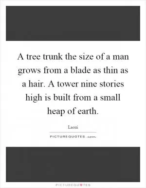 A tree trunk the size of a man grows from a blade as thin as a hair. A tower nine stories high is built from a small heap of earth Picture Quote #1