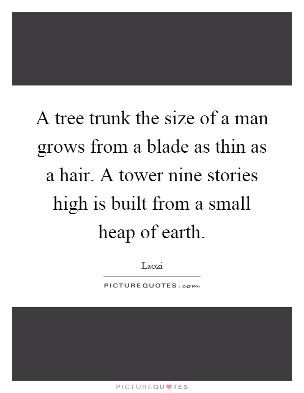 A tree trunk the size of a man grows from a blade as thin as a hair. A tower nine stories high is built from a small heap of earth Picture Quote #1