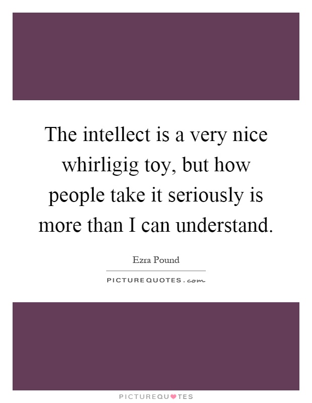 The intellect is a very nice whirligig toy, but how people take it seriously is more than I can understand Picture Quote #1