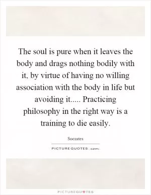 The soul is pure when it leaves the body and drags nothing bodily with it, by virtue of having no willing association with the body in life but avoiding it..... Practicing philosophy in the right way is a training to die easily Picture Quote #1