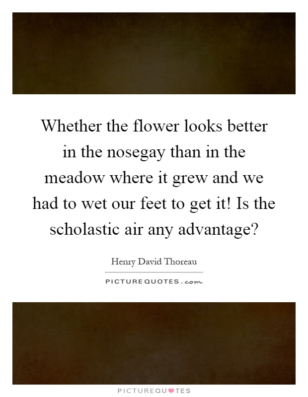 Whether the flower looks better in the nosegay than in the meadow where it grew and we had to wet our feet to get it! Is the scholastic air any advantage? Picture Quote #1