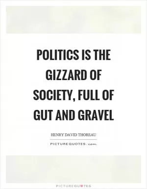 Politics is the gizzard of society, full of gut and gravel Picture Quote #1