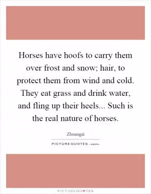 Horses have hoofs to carry them over frost and snow; hair, to protect them from wind and cold. They eat grass and drink water, and fling up their heels... Such is the real nature of horses Picture Quote #1