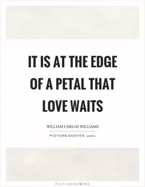 It is at the edge of a petal that love waits Picture Quote #1