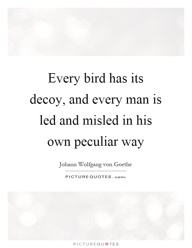 Every bird has its decoy, and every man is led and misled in his own peculiar way Picture Quote #1