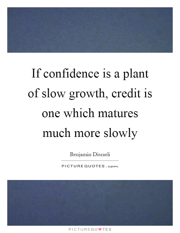 If confidence is a plant of slow growth, credit is one which matures much more slowly Picture Quote #1