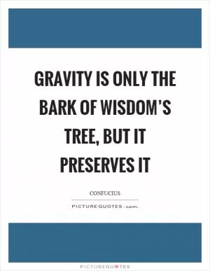 Gravity is only the bark of wisdom’s tree, but it preserves it Picture Quote #1