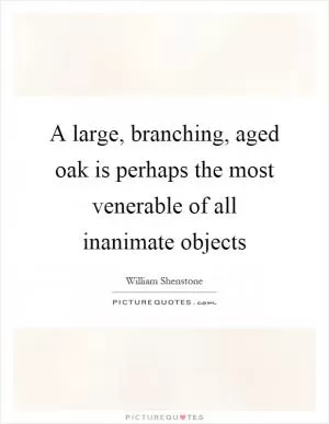 A large, branching, aged oak is perhaps the most venerable of all inanimate objects Picture Quote #1