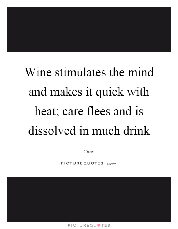 Wine stimulates the mind and makes it quick with heat; care flees and is dissolved in much drink Picture Quote #1