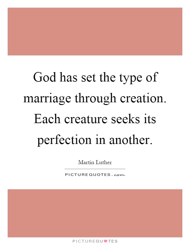 God has set the type of marriage through creation. Each creature seeks its perfection in another Picture Quote #1