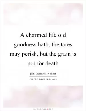 A charmed life old goodness hath; the tares may perish, but the grain is not for death Picture Quote #1