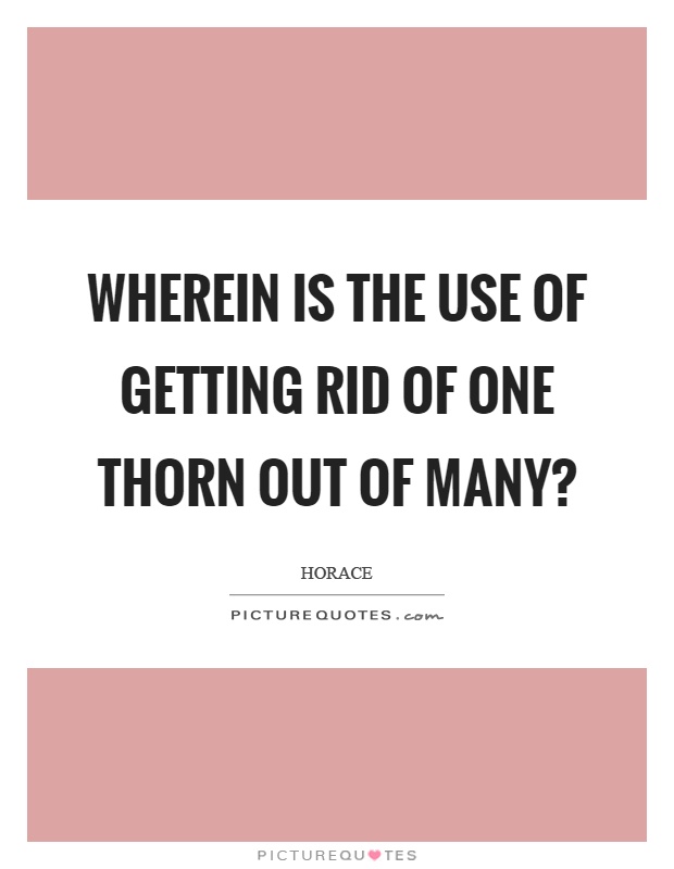 Wherein is the use of getting rid of one thorn out of many? Picture Quote #1