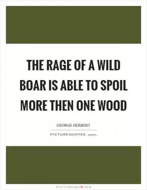 The rage of a wild boar is able to spoil more then one wood Picture Quote #1