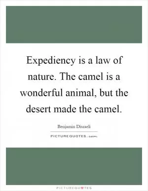 Expediency is a law of nature. The camel is a wonderful animal, but the desert made the camel Picture Quote #1