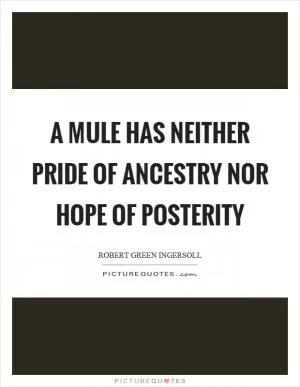 A mule has neither pride of ancestry nor hope of posterity Picture Quote #1