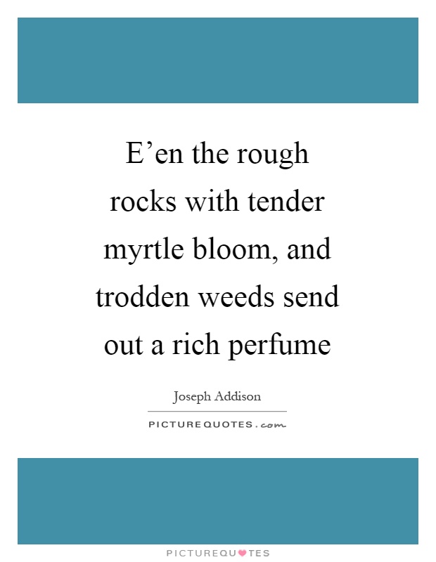 E'en the rough rocks with tender myrtle bloom, and trodden weeds send out a rich perfume Picture Quote #1