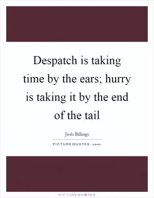 Despatch is taking time by the ears; hurry is taking it by the end of the tail Picture Quote #1
