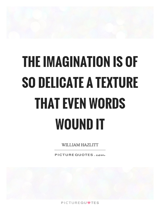The imagination is of so delicate a texture that even words wound it Picture Quote #1