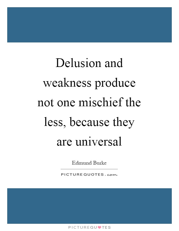 Delusion and weakness produce not one mischief the less, because they are universal Picture Quote #1