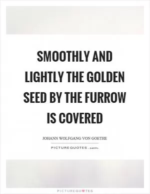 Smoothly and lightly the golden seed by the furrow is covered Picture Quote #1