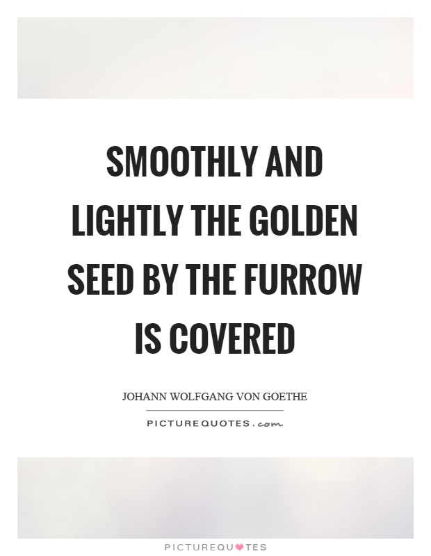 Smoothly and lightly the golden seed by the furrow is covered Picture Quote #1