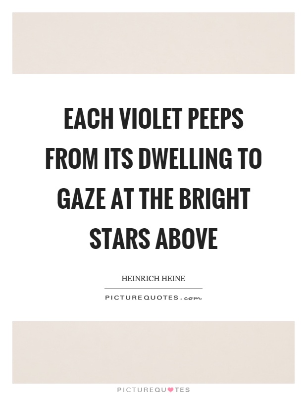 Each violet peeps from its dwelling to gaze at the bright stars above Picture Quote #1