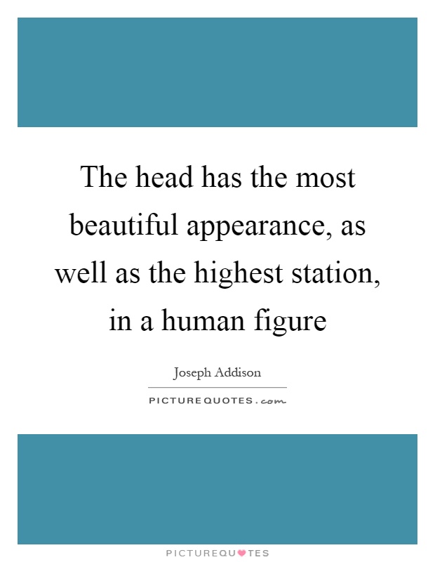 The head has the most beautiful appearance, as well as the highest station, in a human figure Picture Quote #1