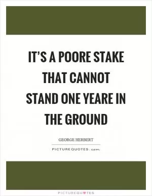 It’s a poore stake that cannot stand one yeare in the ground Picture Quote #1