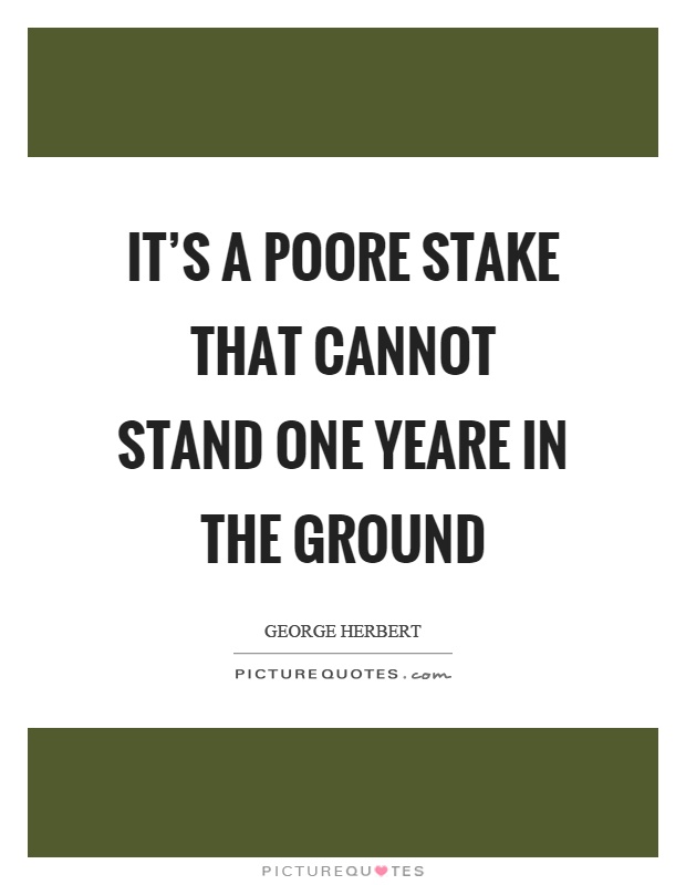 It's a poore stake that cannot stand one yeare in the ground Picture Quote #1