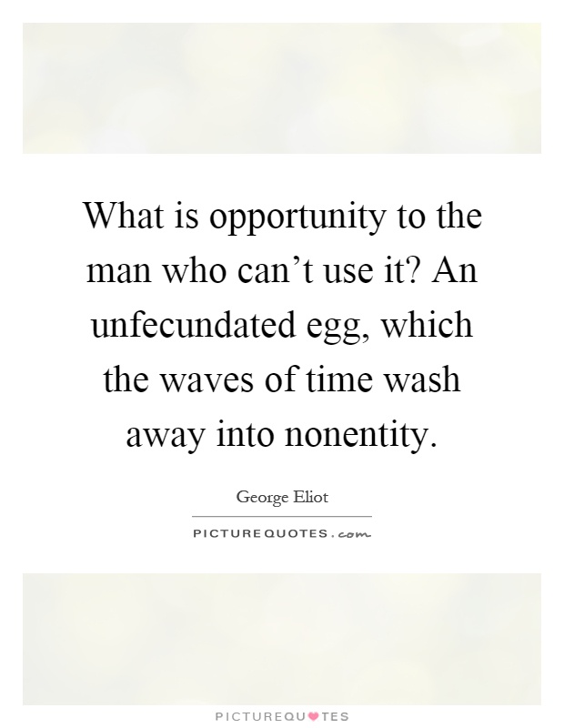 What is opportunity to the man who can't use it? An unfecundated egg, which the waves of time wash away into nonentity Picture Quote #1