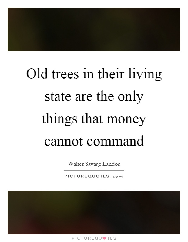 Old trees in their living state are the only things that money cannot command Picture Quote #1