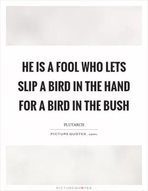 He is a fool who lets slip a bird in the hand for a bird in the bush Picture Quote #1