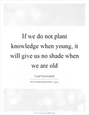 If we do not plant knowledge when young, it will give us no shade when we are old Picture Quote #1