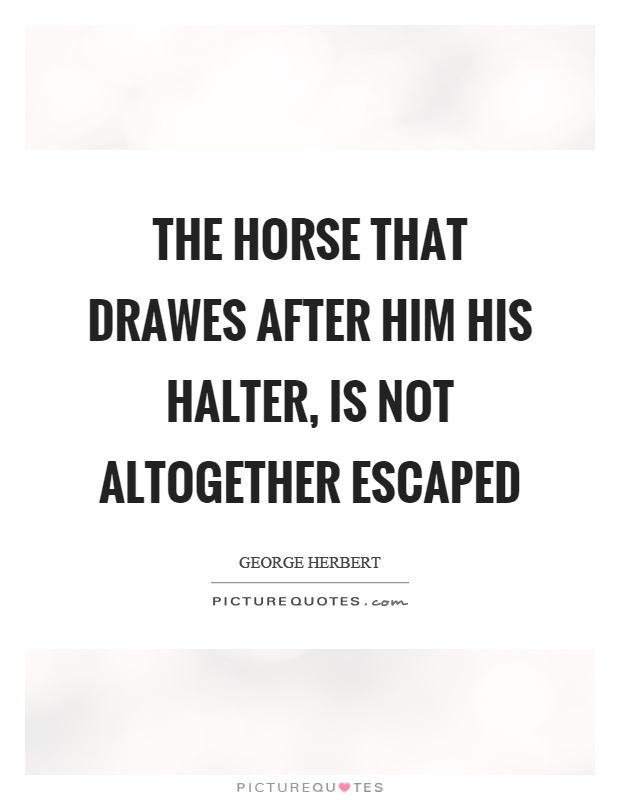 The horse that drawes after him his halter, is not altogether escaped Picture Quote #1