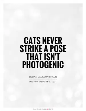 Cats never strike a pose that isn't photogenic Picture Quote #1