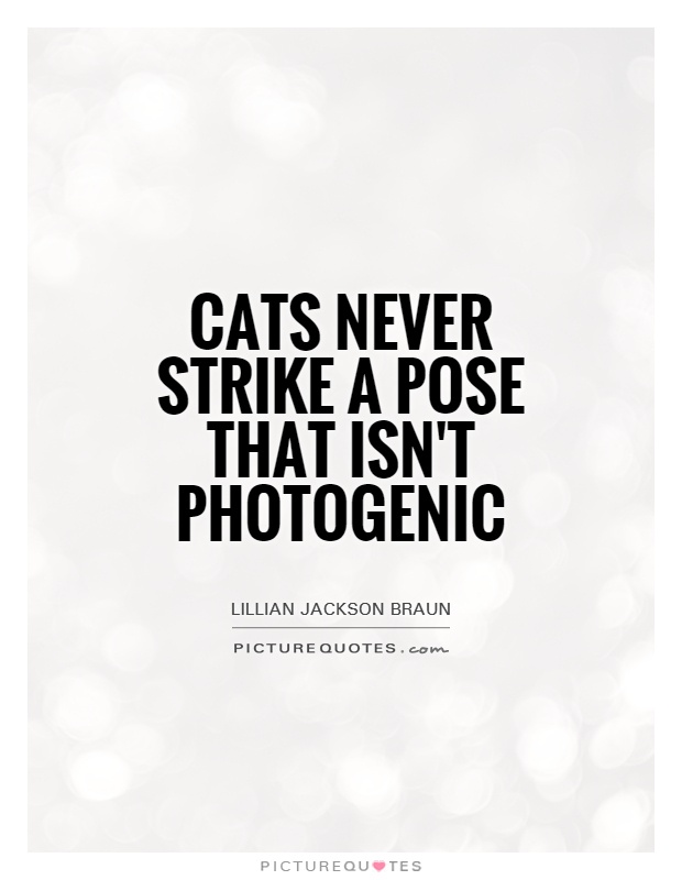 Cats never strike a pose that isn't photogenic Picture Quote #1