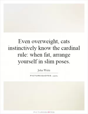 Even overweight, cats instinctively know the cardinal rule: when fat, arrange yourself in slim poses Picture Quote #1