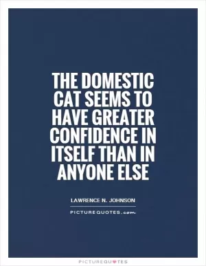The domestic cat seems to have greater confidence in itself than in anyone else Picture Quote #1