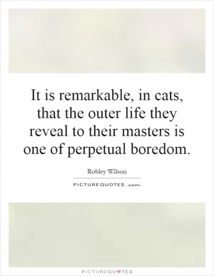 It is remarkable, in cats, that the outer life they reveal to their masters is one of perpetual boredom Picture Quote #1